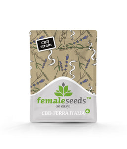 Semillas Feminizadas TERRA ITALIA CBD (FEMALE SEEDS) FEMINIZADA de la marca Female Seeds a la venta en  Grow Shop Colombia. Tambien tenemos semillas de marihuana para cultivo de marihuana, ademas tenemos imágenes de marihuana.